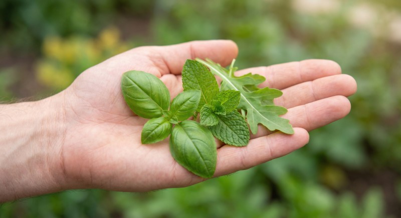 Quality and sourcing